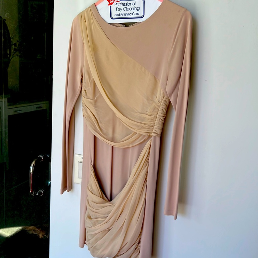 Alice and Olivia Nude Dress